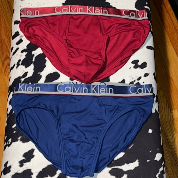 Calvin Klein Underwear Other - Mens Calvin Klein Bikini Briefs Lot of 2